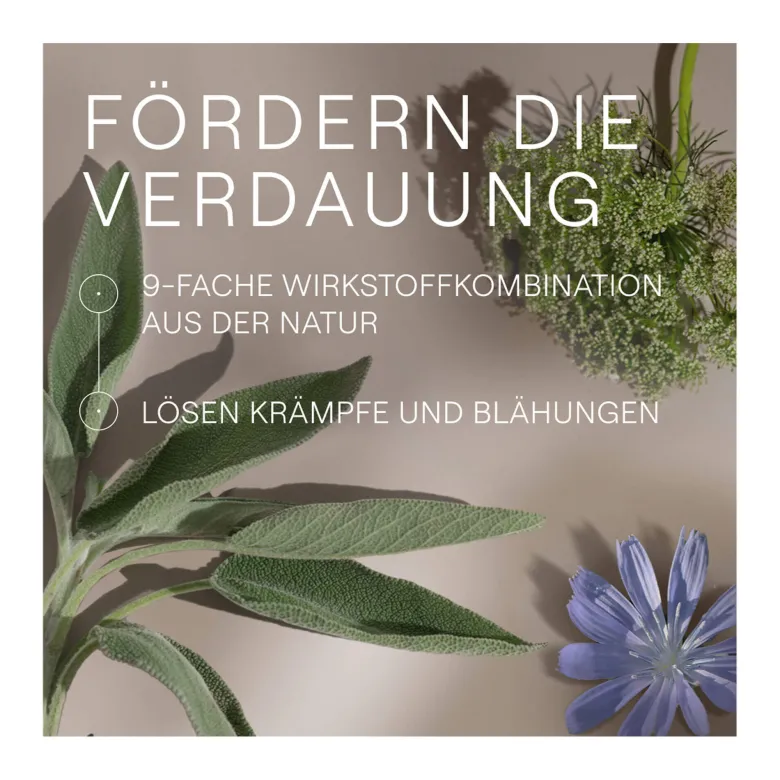 Amara Tropfen Dilution, 20 ml