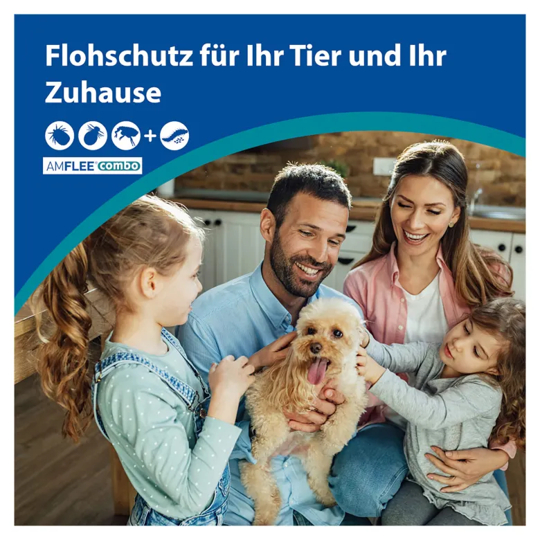 Amflee combo Lösung zum Auftragen für Hunde 10-20 kg, 3 St