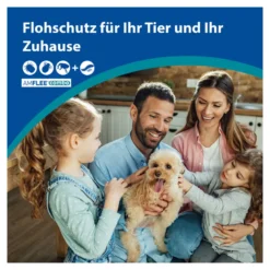 Amflee combo 402/361,8 mg Lsg.z.Auftr. für Hunde über 40 kg, 3 St