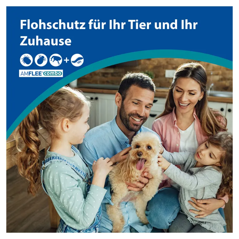 Amflee combo 402/361,8 mg Lsg.z.Auftr. für Hunde über 40 kg, 3 St