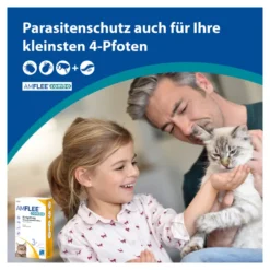 Amflee combo 50/60 mg Lsg. zum Auftropfen für Katzen, 3 St