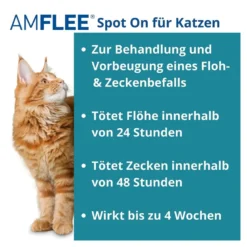 Amflee 50 mg Lösung zum Auftropfen für Katzen, 3 St