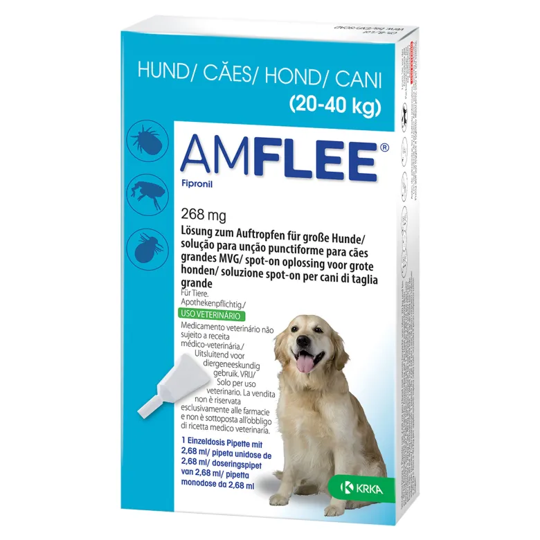 Amflee 268 mg Lösung zum Auftropfen für Große Hunde, 3 St