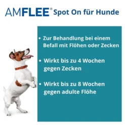 Amflee 268 mg Lösung zum Auftropfen für Große Hunde, 3 St