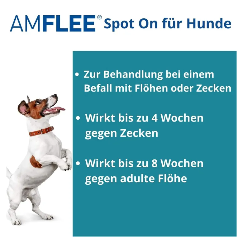 Amflee 268 mg Lösung zum Auftropfen für Große Hunde, 3 St