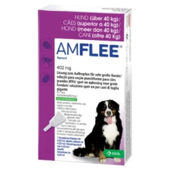 Amflee 402 mg Lösung zum Auftropfen für sehr große Hunde, 3 St