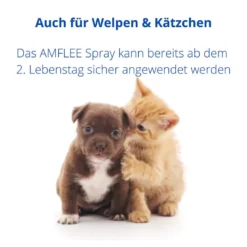 Amflee 2,5 mg/ml Spray Lösung für Katzen und Hunde, 100 ml