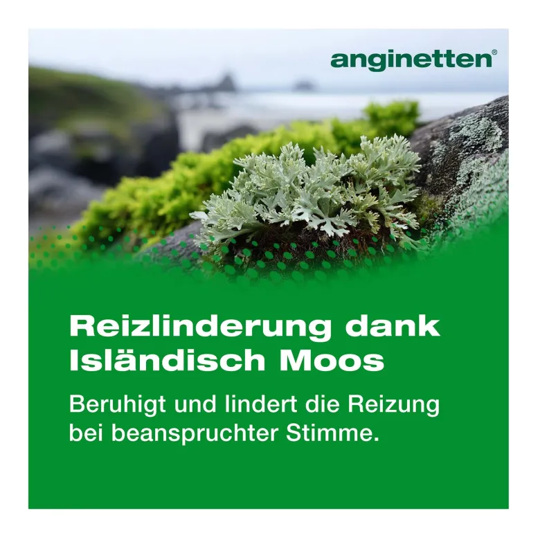 Anginetten Stimme Lutschtabletten, 24 St