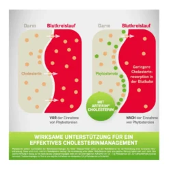 Arterin Cholesterin Tabletten, 90 St