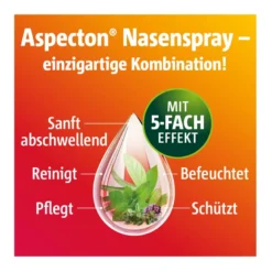 Aspecton Nasenspray für Erwachsene und Kinder ab 8 Jahren, 20 ml