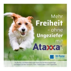 Ataxxa 2000 mg/400 mg Lösung zum Auftropfen Hunde über 25kg, 3 St