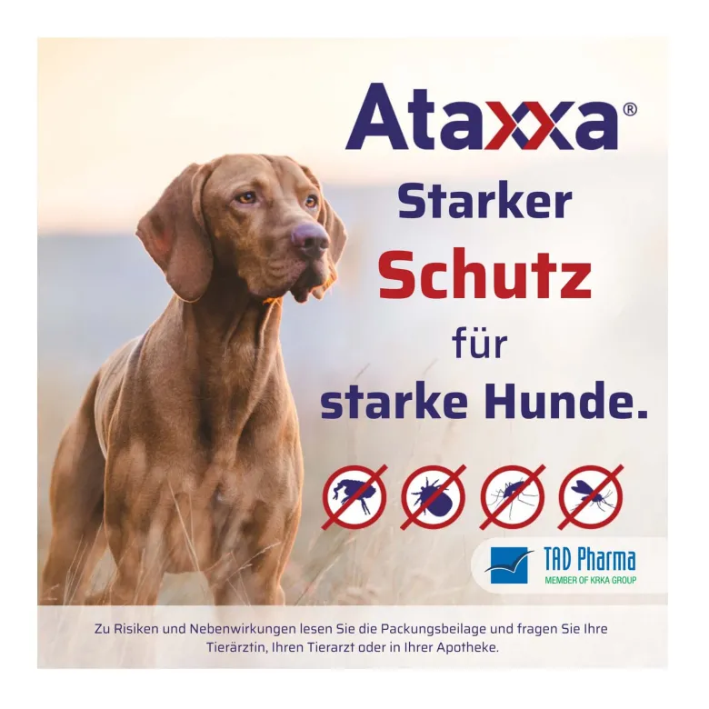 Ataxxa 200 mg/40 mg Lösung zum Auftropfen für Hunde bis 4 kg, 3 St