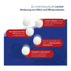 Avitale Lactase 14000 FCC, 80 St