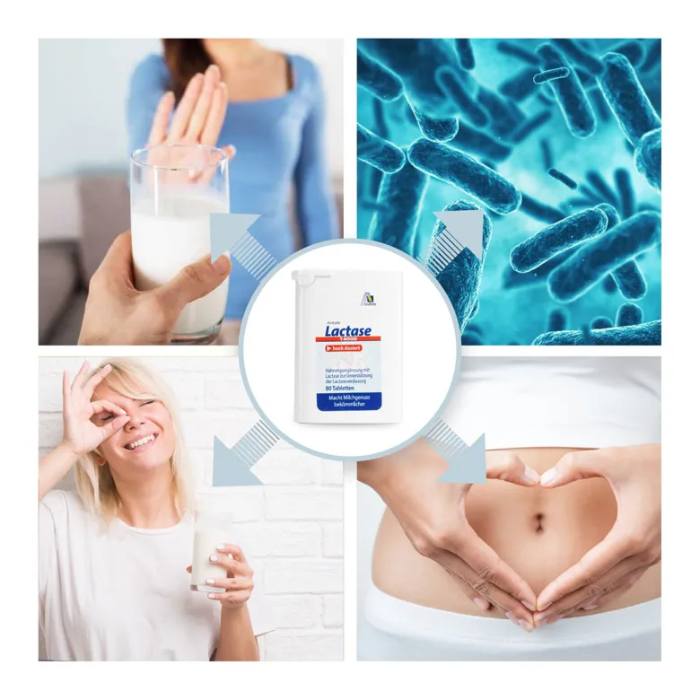 Avitale Lactase 14000 FCC, 80 St