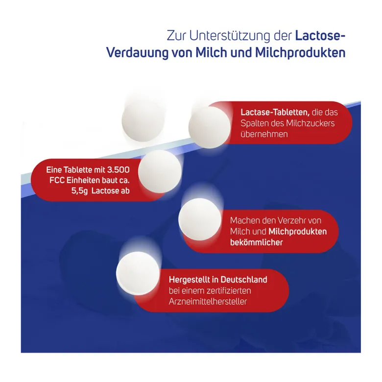 Avitale Lactase 3500 FCC, 100 St