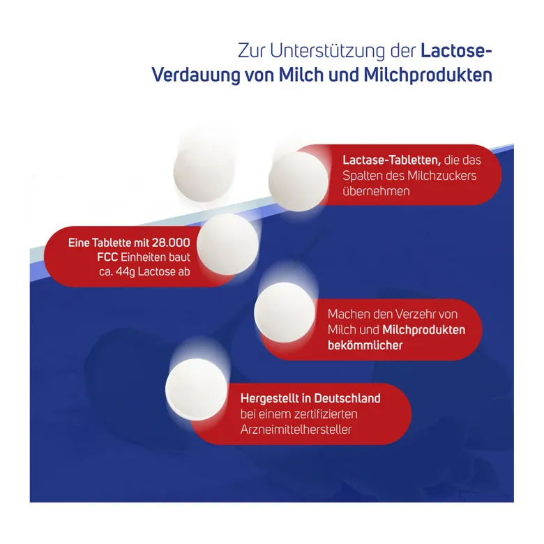Avitale Lactase 28.000 FCC Tabletten im Spender, 80 St