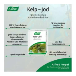 A.Vogel Kelp-Jod Meeresalgen Tabletten, 120 St