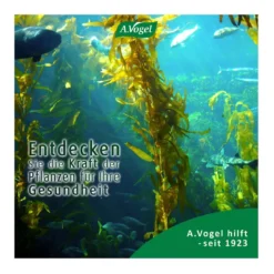 A.Vogel Kelp-Jod Meeresalgen Tabletten, 120 St