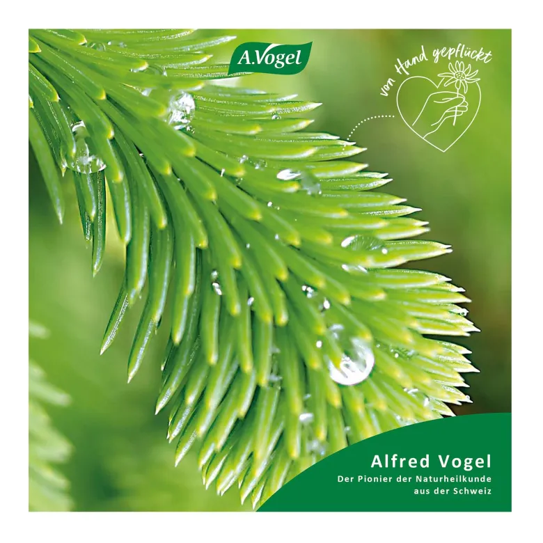 A.Vogel Santasapina Fichtenspitzen-Sirup, 200 ml
