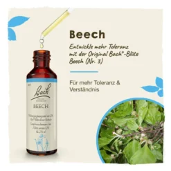 Bachblüte Beech, 20 ml