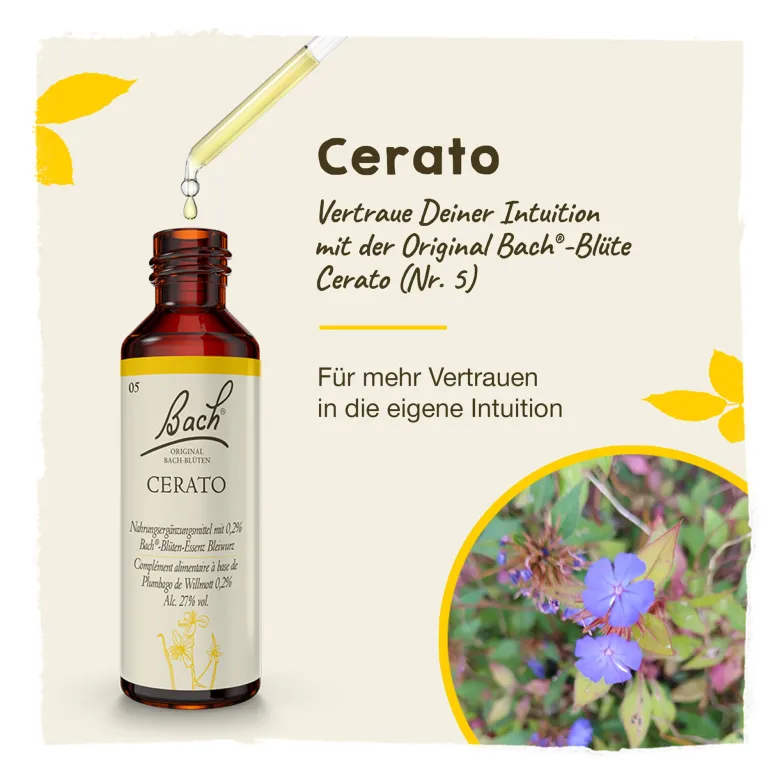 Bachblüte Cerato, 20 ml