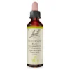 Bachblüte Chestnut Bud, 20 ml