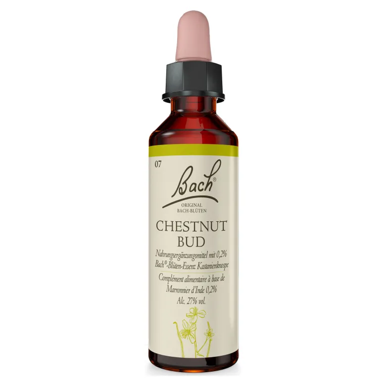 Bachblüte Chestnut Bud, 20 ml