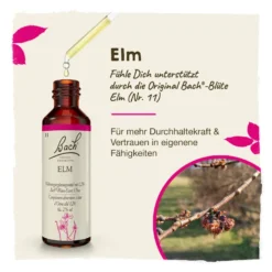 Bachblüte Elm, 20 ml
