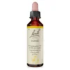 Bachblüte Gorse, 20 ml