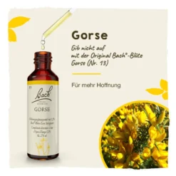 Bachblüte Gorse, 20 ml