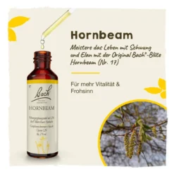 Bachblüte Hornbeam, 20 ml