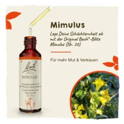Bachblüte Mimulus, 20 ml