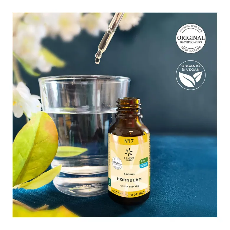 Bachblüte No. 17 Hornbeam Bio, 20 ml