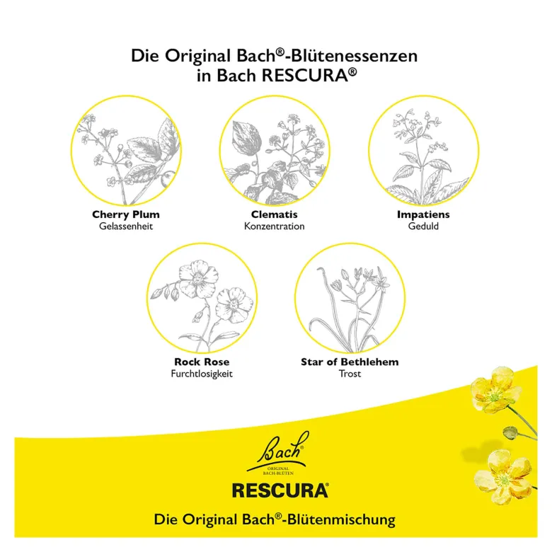 Bachblüten Original Rescura Kids Tropfen alkoholfrei, 10 ml