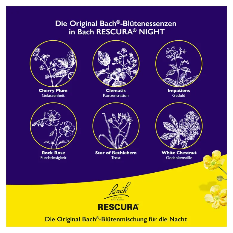 Bachblüten Original Rescura Night Spray mit Alkohol, 20 ml
