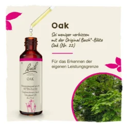 Bachblüte Oak, 20 ml