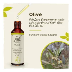 Bachblüte Olive, 20 ml