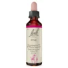 Bachblüte Pine, 20 ml