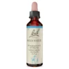 Bachblüte Rock Water, 20 ml