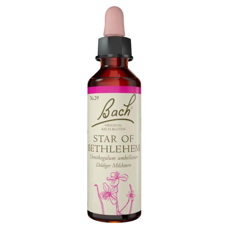 Bachblüte Star of Bethlehem, 20 ml
