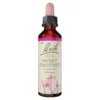 Bachblüte Sweet Chestnut, 20 ml
