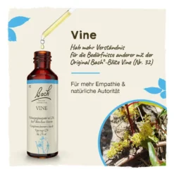 Bachblüte Vine, 20 ml