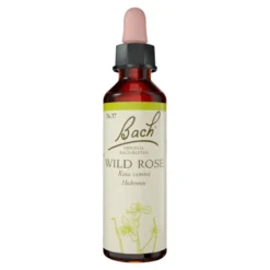 Bachblüte Wild Rose, 20 ml