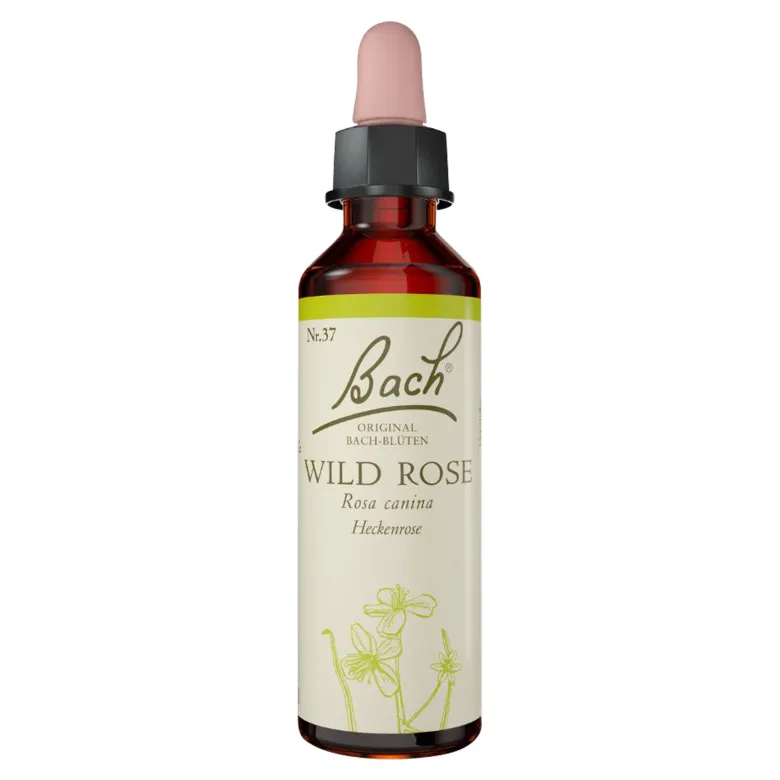 Bachblüte Wild Rose, 20 ml