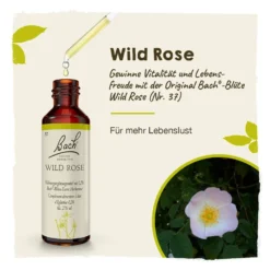 Bachblüte Wild Rose, 20 ml
