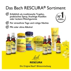 Bach Original Rescura Night Kids Tropfen, 10 ml
