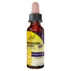 Bach Rescura Night Kids Tropfen alkoholfrei, 10 ml