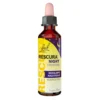 Bach Rescura Night Tropfen alkoholfrei, 20 ml