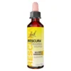 Bach Rescura Tropfen alkoholfrei, 20 ml