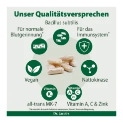 Bacillus subtilis plus Nattokinase-Enzym Vitamin K2 vegan, 60 St